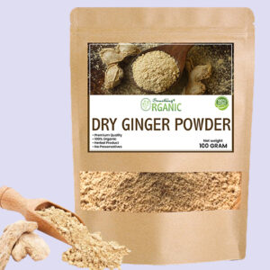 Ginger Powder: A Versatile Spice for Culinary Delights